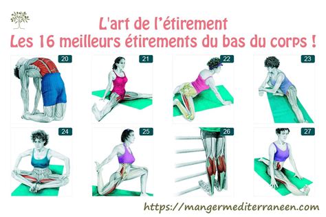 Lart De L Tirement Les Meilleurs Tirements Du Bas Du Corps