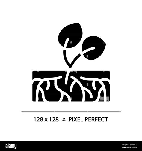 Rooting Plant Cutting Black Glyph Icon Stock Vector Image And Art Alamy