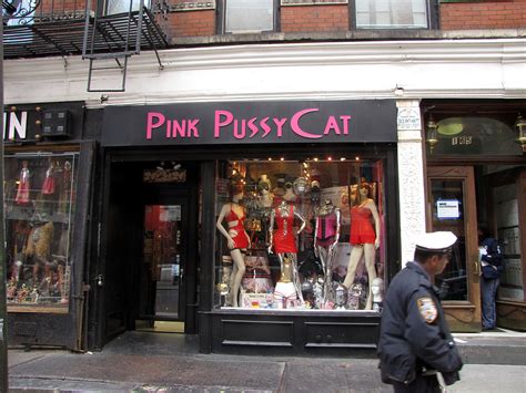 Pink PUSSY Cat One Of New York S Finest Walks Disgustedly Flickr