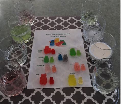 Gummy Bear Osmosis Science Experiment How To Homeschool