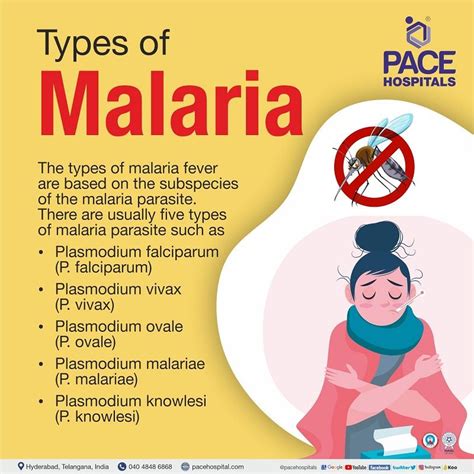 Malaria Symptoms Causes Types Complications Prevention