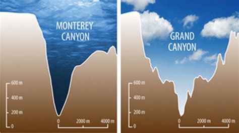 Comparison of Monterey Canyon in Monterey Bay and the Grand Canyon of ...