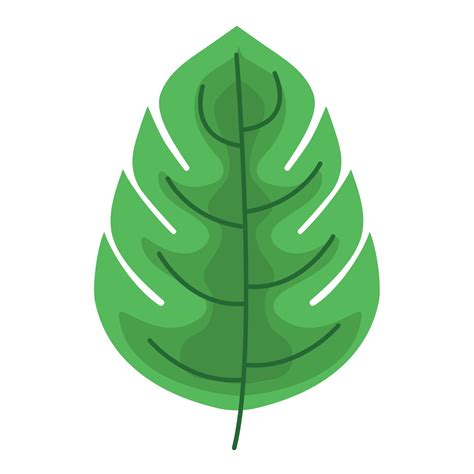 leaf design  vector art  vecteezy