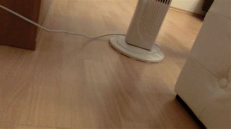 Th Session Going One Step Further Clip Real Brutal Amateur Trampling Clips Sale