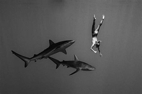 See Amazing Photos Of Model Marisa Papen Swimming Nude With Sharks In