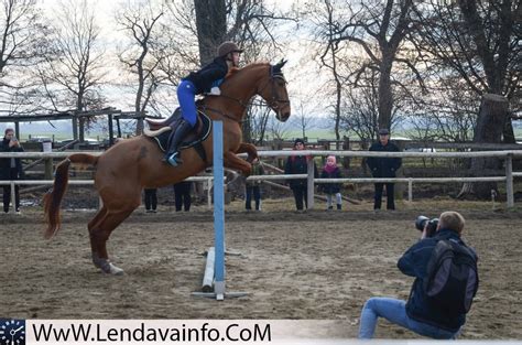 FOTO Tradicionalni blagoslov grajskih konj v Rakičanu Lendavainfo