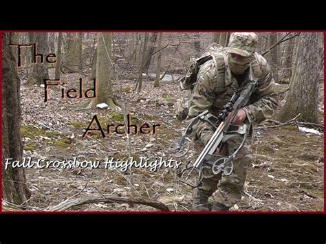 Welcome the Deer Hunting Season with These Crossbow Hunting Tips ...