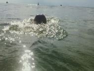 Naked Charlotte Vega In American Assassin