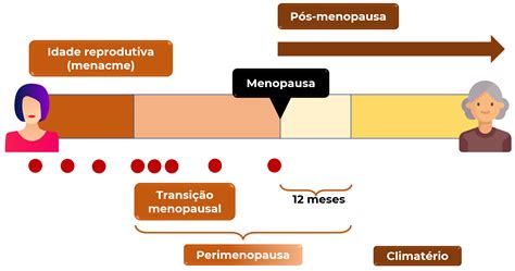 Cid Menopausa E Climaterio - Nomenclatura e terminologia da menopausa – GinecoAcademy