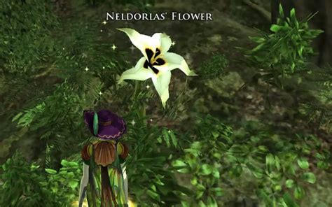 Lotro Flowers Of The Old Forest Deed Fibrojedi