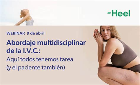 Webinar Abordaje Multidisciplinar De La I V C Anede Enfermer A