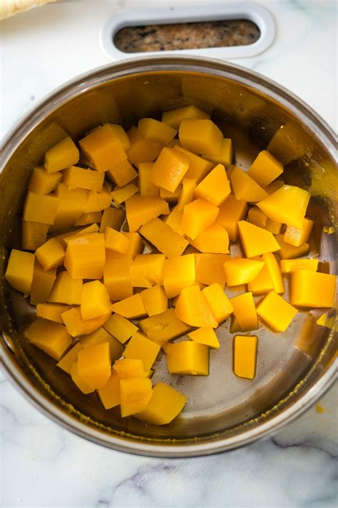 Butternut Squash Puree for Dogs