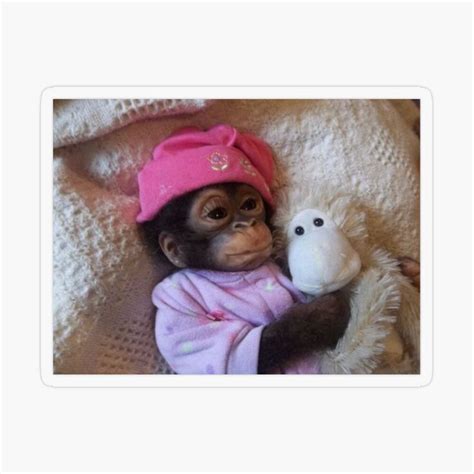 "sleeping monkey meme" Sticker for Sale by itsbonnyhere | Monkeys funny, Cute baby monkey ...