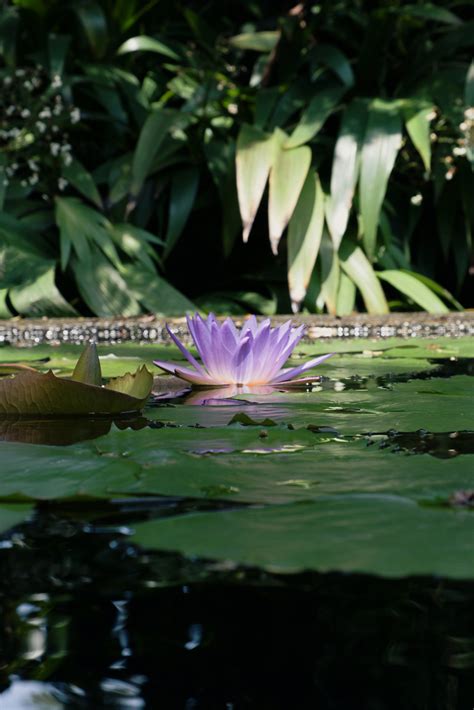 Exploring Secret Garden Rooftop One Utama — Capture by Azfa