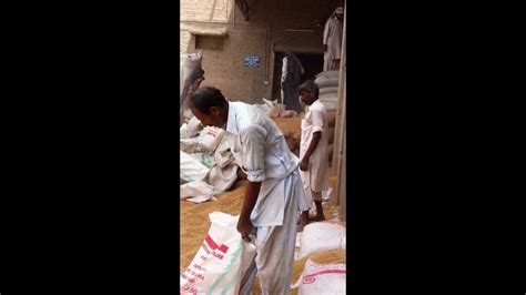 Grain Workers Packing And Stacking The Wheat Bags In Flour Mills