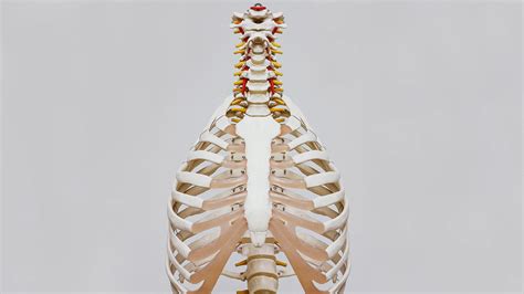 8 фактов об анорексии - Телеканал Доктор