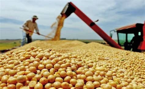 Puxado pelo agronegócio Tocantins tem 2ª maior projeção de crescimento