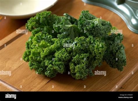 set fresh green kale  res stock photography  images alamy