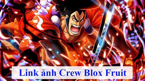 Link ảnh Crew Blox Fruits đẹp Nhất Mới Nhất 2025