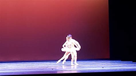 Salida Pedag Gica A Frutillar Y Al Teatro Del Lago De Ro A Y B Lyc E Claude Gay Osorno