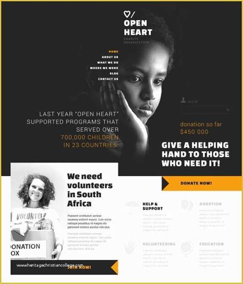 Free Non Profit Website Templates Of 19 Non Profit Website themes ...