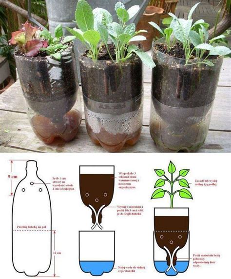 Transform your outdoor space with these garden design ideas home garden ...