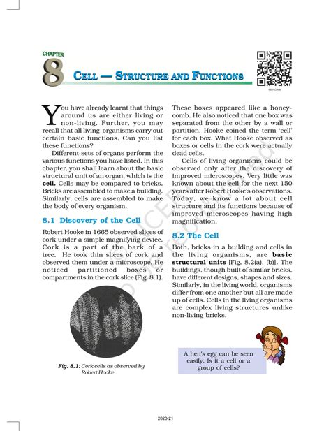 Cell Structure And Function Lesson Plan