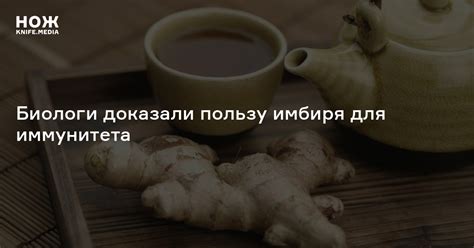Биологи доказали пользу имбиря для иммунитета — Нож