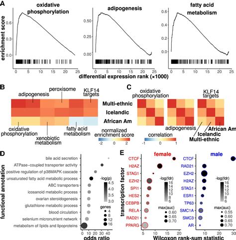 Sex Differences In Human Adipose Tissue Gene Expression And Genetic Regulation Involve Adipogenesis