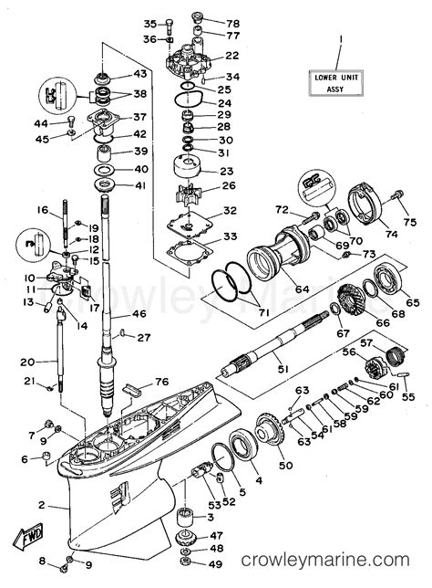 Lower Casing Drive Trs Outboard Hp Txrs Crowley