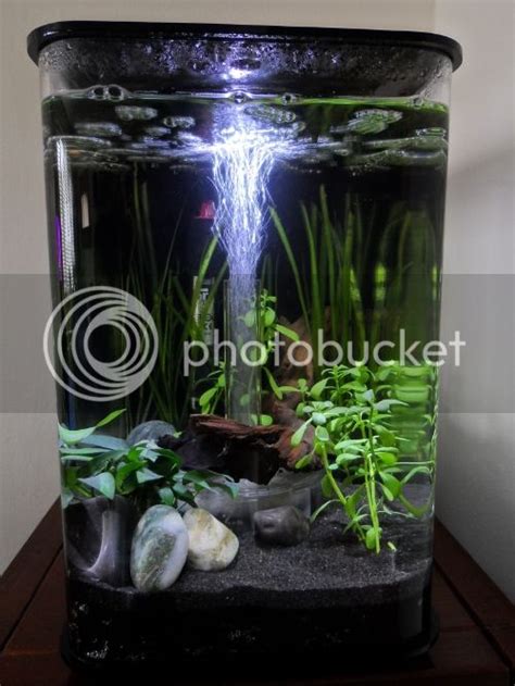 Biorb Flow Litre Shrimp Tank Fish Forum