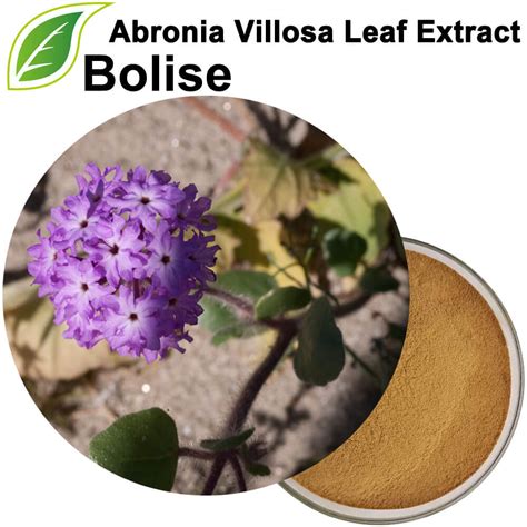 Buy Abronia Villosa Leaf Extract -Price,Supplier/Manufacturer from Bolise