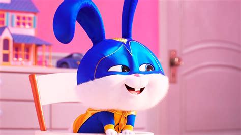 Жизнь Домашних Животных Кролик Фото — Фото