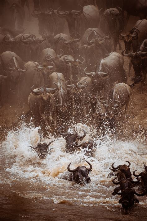 galleries mara mutua matheka