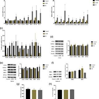 Effects Of Acute Exercise Of Different Intensity On Expression Of Tfam