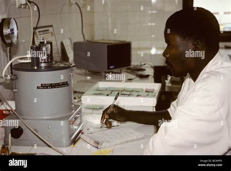 Ivory Coast Cote D Ivoire Rubber Plantation Laboratory Technician