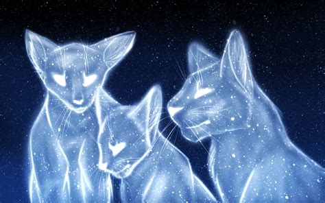 Starclan Cats D Warrior Cat Warrior Cats Herding Cats