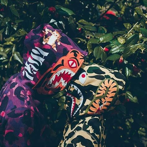 Bape Shark Wallpaper Bape Hoodie 40618 Hd Wallpaper