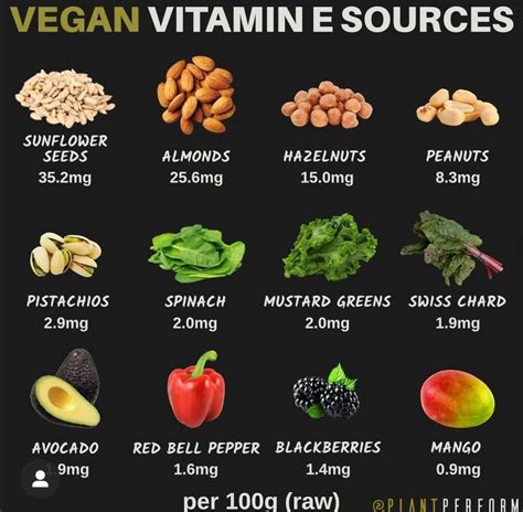 25 Plant Based Calcium Sources Infographic Artofit