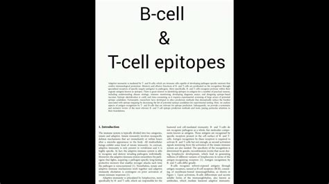 B Cell And T Cell Epitopes With Their Types And Prediction Review Article