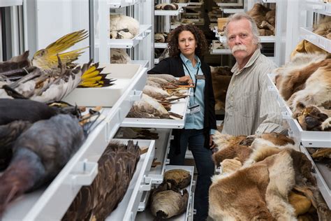 Behind the Scenes: Discover the Collections and Meet Scientists at the