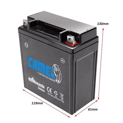 Camel Mf Al V Agm Maintenance Free Sla Battery For Yamaha Harley