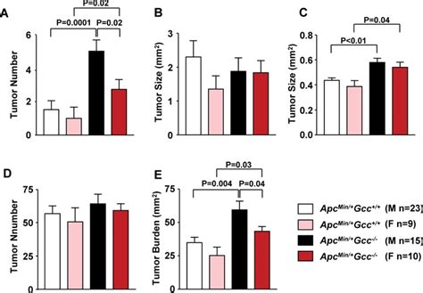 Sex Modulates Intestinal Transformation By The Tumor Suppressor Gcc