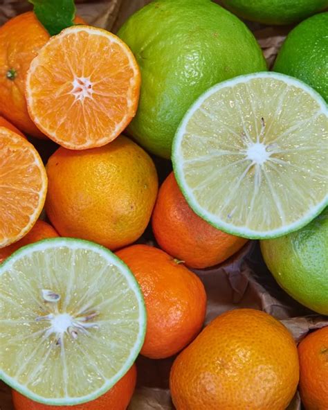 Regenerative organic clementines and bergamot oranges from Azienda ...