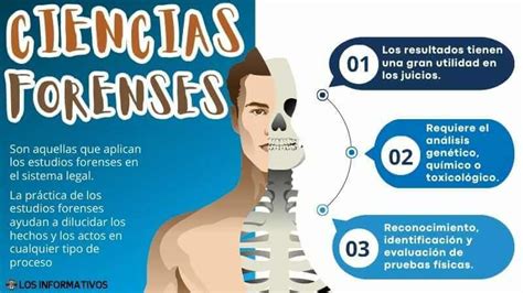 O Que É Ciencias Forenses - Ramas De La Ciencia Forense – Ciencias Forenses Ramas – WATQVT