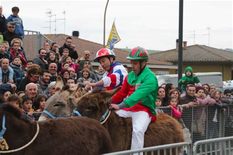 Torrita è il momento del 65 palio dei somari Siena News