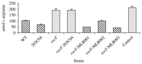 In Vitro And In Vivo Complementation Of The Helicobacter Pylori