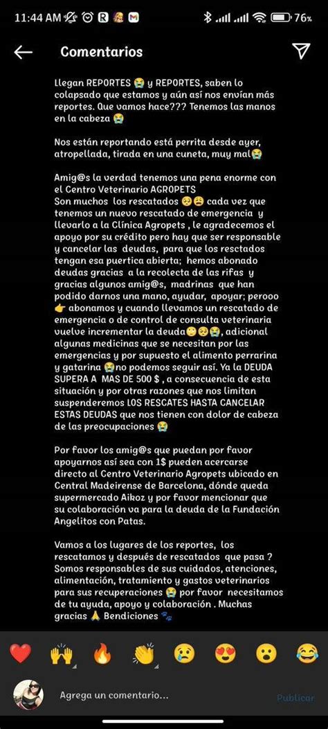 Perrousuario Wof On Twitter La Peque A Necesita Ayudaaaa Urgente