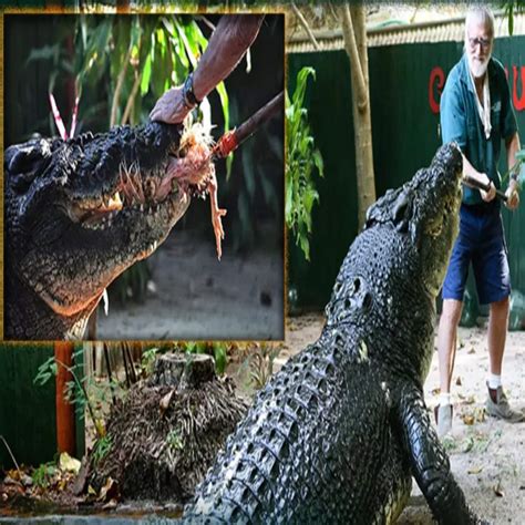 Largest Crocodile Ever Recorded