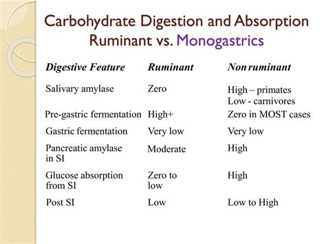 drawing carbohydrate digestion through the monogastric 8